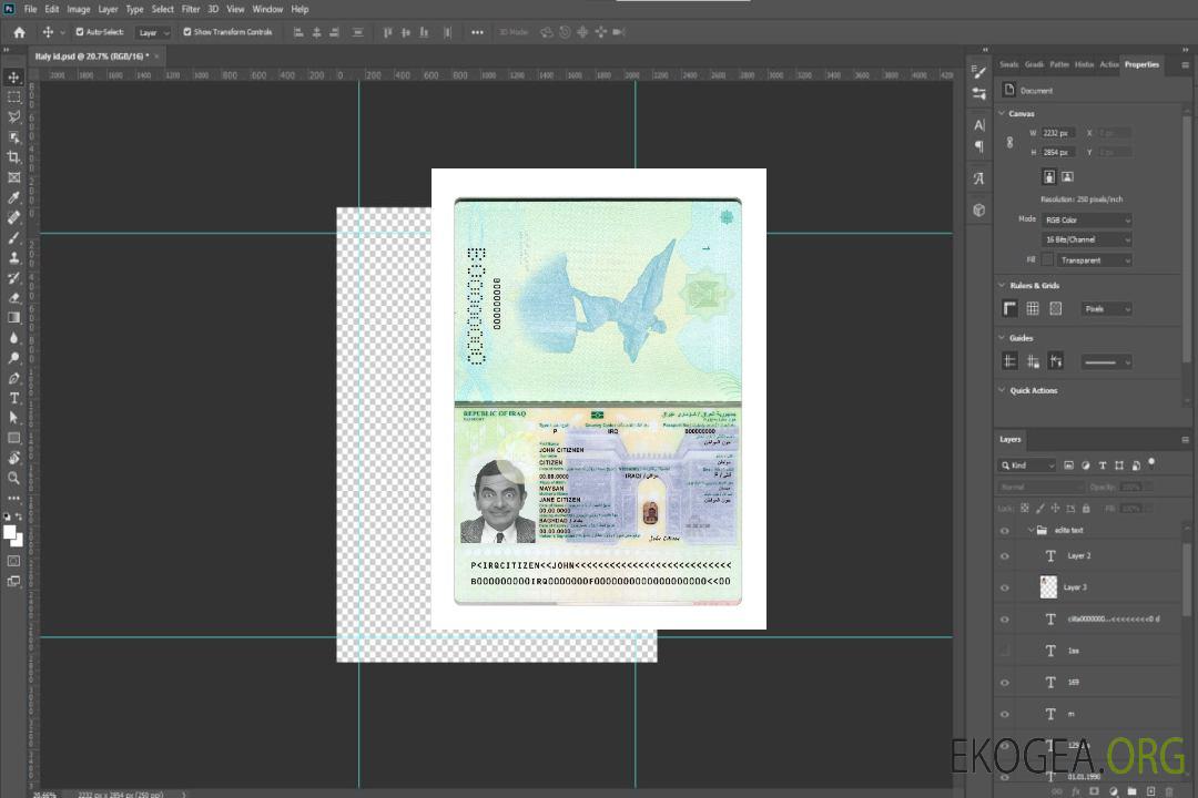Passeport irakien 2024-présent template